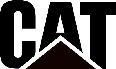 0016_cat_irys